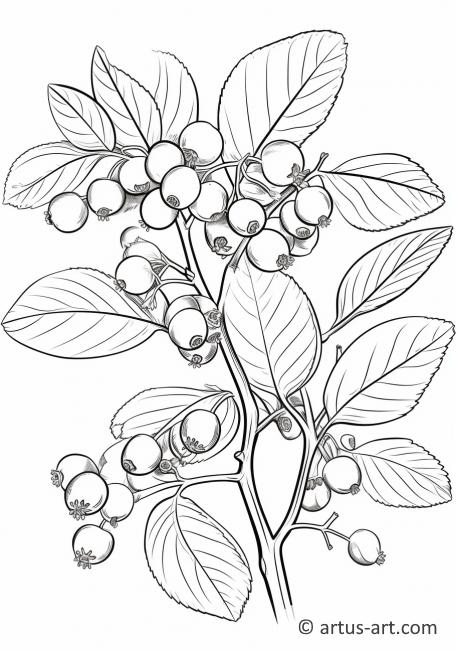 Pagina de colorat cu tufă de huckleberry